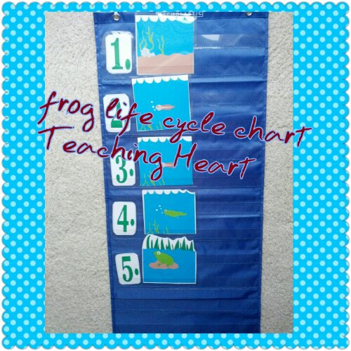 Frog Pocket Chart