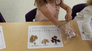 sorting teddy grahams